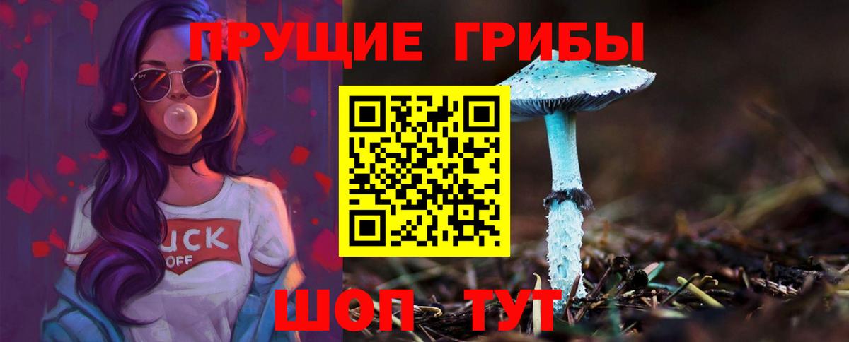 Подольск  Галлюциногенные грибы мицелий  Вход с VPN 
